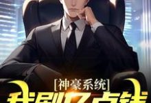 求助这本神豪系统:我刷亿点钱不过分吧?小说在哪里可以看完结版-火箭文学
