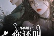 求助这本都离婚了!你还叫我夫人干嘛小说在哪里可以看完结版-火箭文学