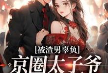 被渣男辜负，京圈太子爷化身治愈系大结局，沈颜季辞渊小说无广告阅读-火箭文学