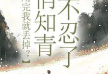 许语嫣叶修远在线阅读，利用完我就丢掉？俏知青她不忍了小说完结版章节-火箭文学