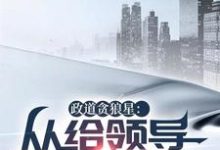 主人公是陈诚楚瑜清的小说政道贪狼星:从给领导平反开始免费阅读-火箭文学