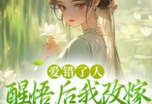 小说爱错了人，醒悟后我改嫁权王你哭啥（唐瑈嘉秦斯珩）最新章节在哪看-火箭文学