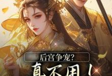 后宫争宠?真不用!我撒个娇的事(温梨儿晏时叙)最新章节免费阅读-火箭文学