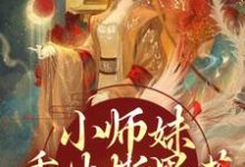 小师妹重生撕黑莲，炸翻宗门精彩章节阅读(凤锦许墨)免费阅读大结局-火箭文学