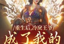 主人公是云想司空琰的小说重生后，冷戾王爷成了我的小奶狗免费阅读-火箭文学
