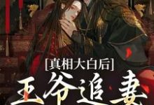 真相大白后,王爷追妻火葬场了免费阅读(萧锦笙鸿枫)小说免费读最新章节-火箭文学