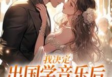 我决定出国学音乐后，大律师后悔了（宋棉贺淮川）最新章节在线阅读-火箭文学