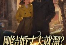 小说刚结婚丈夫就溜?姐真不吃人!主角丁遥香陆舰免费阅读-火箭文学