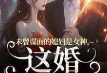 未曾谋面的媳妇是女神，这婚不离了（主角顾衍掣盛知夏）完结版免费阅读-火箭文学