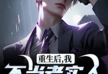 重生后，我不当老实人当浪子！免费阅读(秦守赵瑞龙)小说免费读最新章节-火箭文学