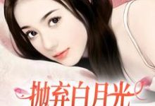 柯望巷钟昭小说的结局在哪可以看，抛弃白月光，我爱上了童养媳免费阅读完结版-火箭文学