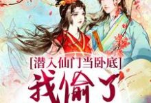 潜入仙门当卧底,我偷了谪仙的心完结版宋时卿谢寂玉免费阅读大结局-火箭文学