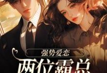 纵意沉沦热门小说(梁颂薇傅暨臣)在线阅读无弹窗-火箭文学