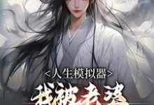 人生模拟器:我被老婆逼成世间极境(白棋陈北玄)完结版免费阅读-火箭文学