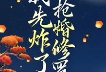 小说穿越后，我先炸了抢婚修罗场主角叶楚月轩辕宸免费阅读-火箭文学
