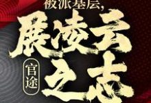 官途：被派基层，展凌云之志在线看，楚昊宇小说大结局在哪免费看-火箭文学