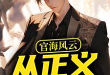 官海风云：从正义开始（主角何强）完结版免费阅读-火箭文学