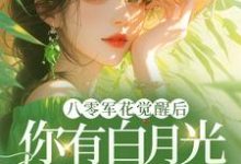 宋佳茵杜知知最新章节八零军花觉醒后，你有白月光我改嫁免费阅读-火箭文学