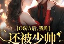 池影霍时晏在线阅读，O转A后，我咋还被少帅强取豪夺了小说完结版章节-火箭文学