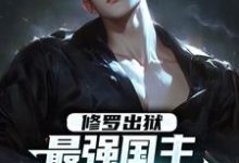 修罗出狱：最强国主身份震撼世界小说资源求分享，修罗出狱：最强国主身份震撼世界叶枫在线阅读-火箭文学