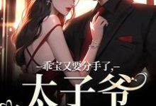 江颜厉霆骁小说的结局在哪可以看,乖宝又要分手了,太子爷求贴贴免费阅读完结版-火箭文学