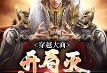 穿越大商，开局灭十万叛军热门小说(殷寿姬发)在线阅读无弹窗-火箭文学