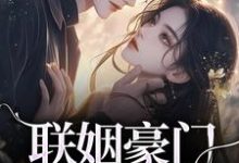 小说联姻豪门继承人后，我逃婚了！主角沈心姿陆仲廷免费阅读-火箭文学