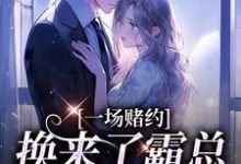 跪求主角是张景淮桑蝉的小说书名叫什么-火箭文学