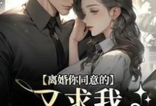 离婚你同意的，又求我复婚干什么热门小说(沈青漓周晏辰)在线阅读无弹窗-火箭文学