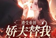 遭受重创，娇夫替我扫清阴霾（萧溪羽沈墨）最新章节免费在线阅读-火箭文学