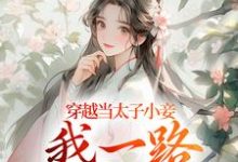 穿越当太子小妾，我一路扶摇直上最新章节穿越当太子小妾，我一路扶摇直上在线阅读-火箭文学