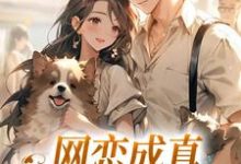 网恋成真，这小子乐癫了（苏念初司徒铮）完结版免费阅读-火箭文学