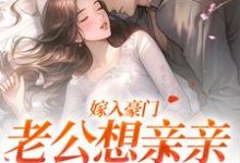 小说嫁入豪门,老公想亲亲就先虐渣主角宋颜沈淮免费阅读-火箭文学
