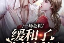 一场危机，缓和了我的婚姻热门小说(南迦北铮)在线阅读无弹窗-火箭文学