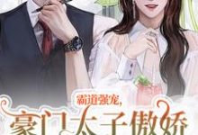 跪求主角是温阮厉言琛的小说书名叫什么-火箭文学