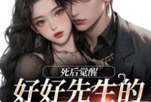 跪求主角是连薰晏落的小说书名叫什么-火箭文学