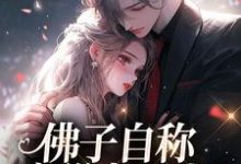 苏晚杳傅慎廷在线阅读，佛子自称空巢老男人？我真的笑了小说完结版章节-火箭文学