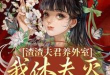 跪求主角是叶宛卿萧时衍的小说书名叫什么-火箭文学