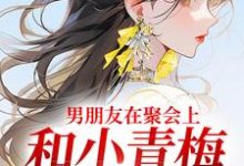 小说男朋友在聚会上，和小青梅吻红温了主角徐乔兮贺司裴免费阅读-火箭文学