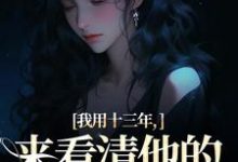 我用十三年，来看清他的真心无常小说最新章节在哪里可以免费看-火箭文学