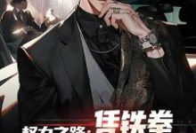 权力之路：凭铁拳，我令黑势力退避大结局，步青云王东林小说无广告阅读-火箭文学