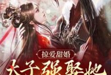掠爱甜婚：太子强娶她入东宫（贺玥宁如颂）最新章节免费阅读-火箭文学
