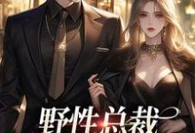 野性总裁穿上娇夫马甲精彩章节在线免费阅读(靳宪廷阮虞)-火箭文学
