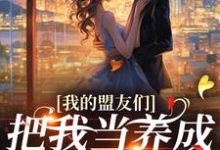 我的盟友们云苓迟盛小说无弹窗云苓迟盛最新章节列表-火箭文学