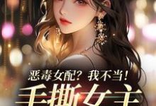 恶毒女配？我不当！手撕女主砍男主无弹窗傅京昭温靡最新章节列表-火箭文学