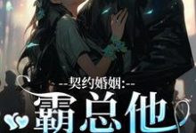 契约婚姻：霸总他超会宠（苏锐秦众）最新章节免费在线阅读-火箭文学