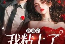 离婚后,我粘上了那位大佬无弹窗舒愿陆骁最新章节列表-火箭文学