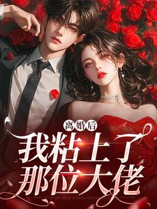 离婚后，我粘上了那位大佬无弹窗舒愿陆骁最新章节列表