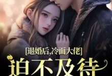 退婚后，冷面大佬迫不及待要娶我无弹窗黎九霍骁最新章节列表-火箭文学