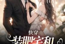 跪求主角是泠宝桑泠的小说书名叫什么-火箭文学
